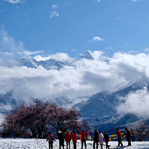 雅鲁藏布江大峡谷桃花