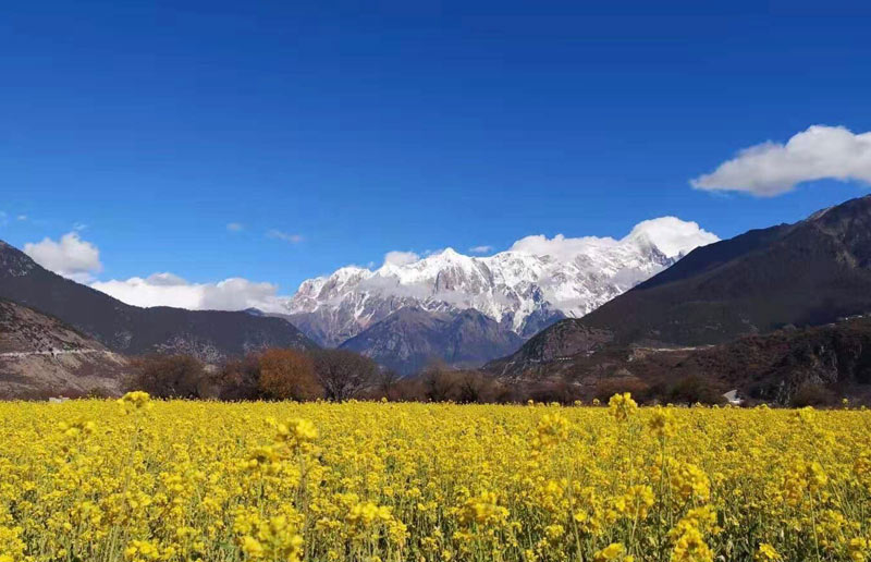 Tibet in Spring