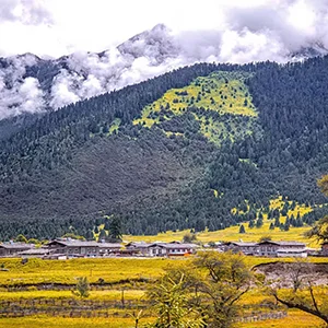 扎西岗村秋景