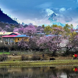 嘎啦桃花村