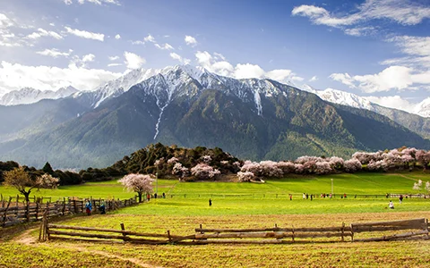 【2026桃花节圣湖精华游】成都-林芝-波密-鲁朗-拉萨-羊卓雍错10天9晚拼团游
