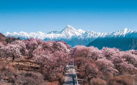 【2026桃花节全景深度游】成都-林芝-波密-鲁朗-拉萨-羊湖-珠峰大本营-日喀则-纳木错13天12晚拼团游