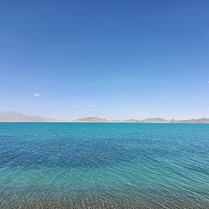 别若则错
