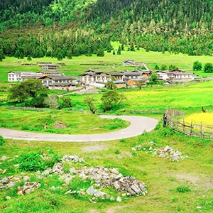 扎西岗村春景