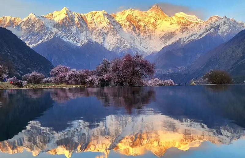 索松村的桃花与雪峰