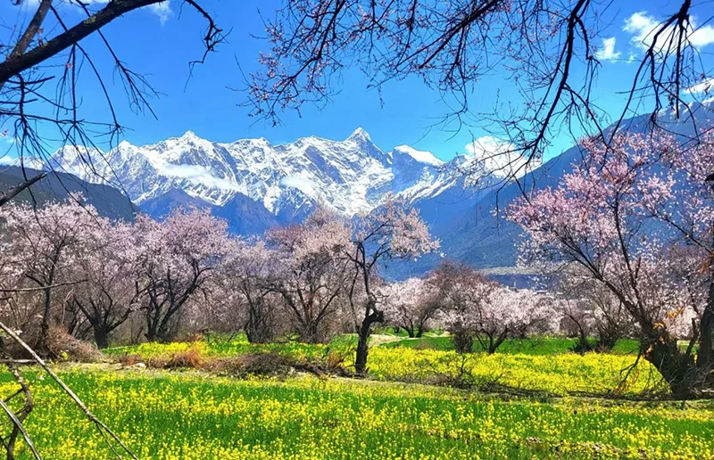 索松村美景