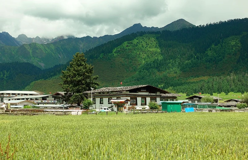 扎西岗村