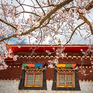 喇嘛寺